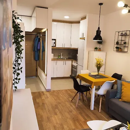 Centar-Novi Sad-Filipa Visnjica-App No 5 *
